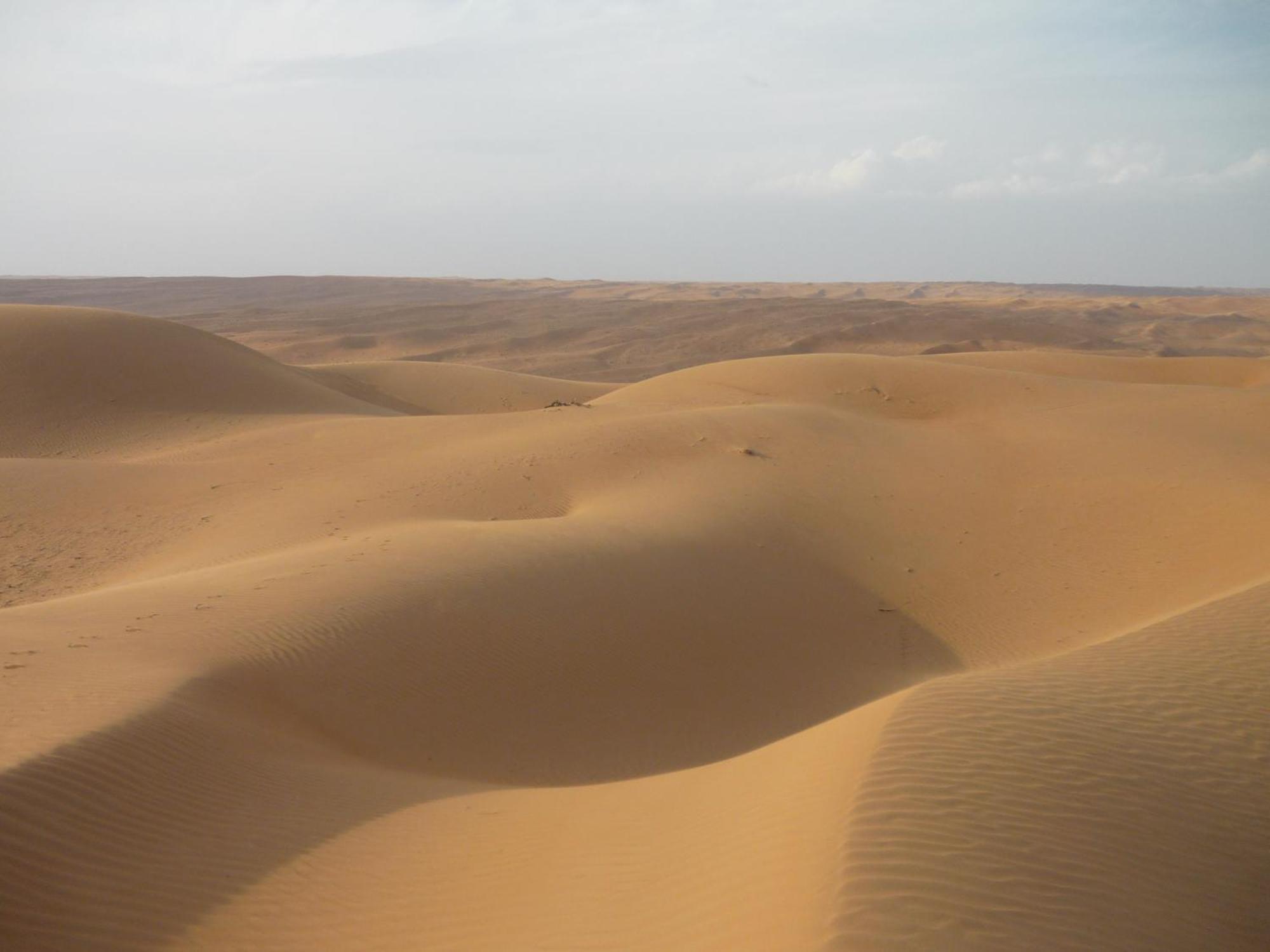 Desert Retreat Camp Hotel Al Wasil Exterior photo